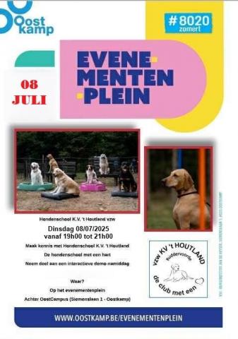 Hondenschool KV 't Houtland - evenementenplein 2025